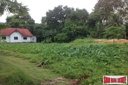 Two Bedroom House and Large Land Plot in Thalang Close to All Amenities-7