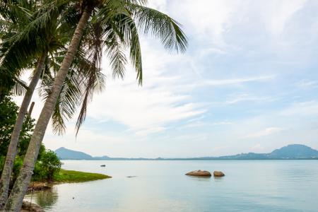 Luxury Studio Vila with Private Pool on Exclusive Maphrao Island-3